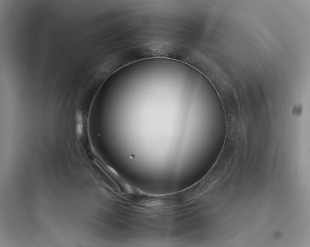 X0000097900075200803211451