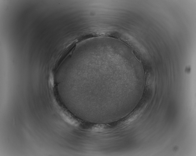X0000097900076200803211451