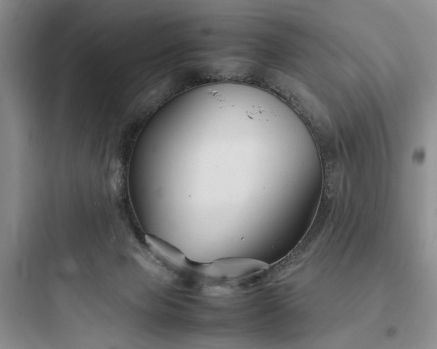 X0000097900077200803211451