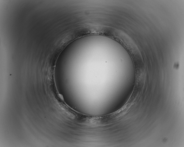 X0000097900078200803211451