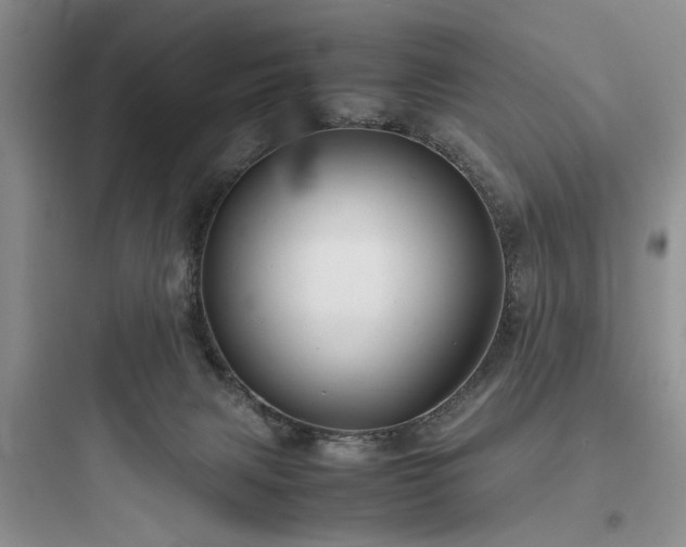 X0000097900079200803211451