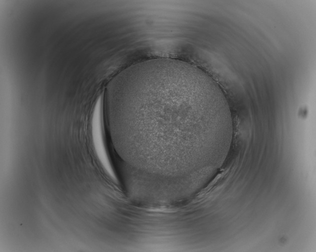 X0000097900080200803211451