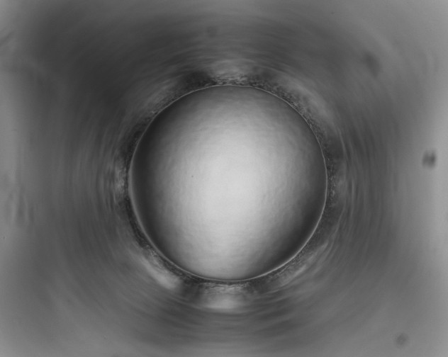 X0000097900081200803211451