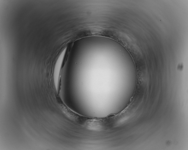 X0000097900082200803211451