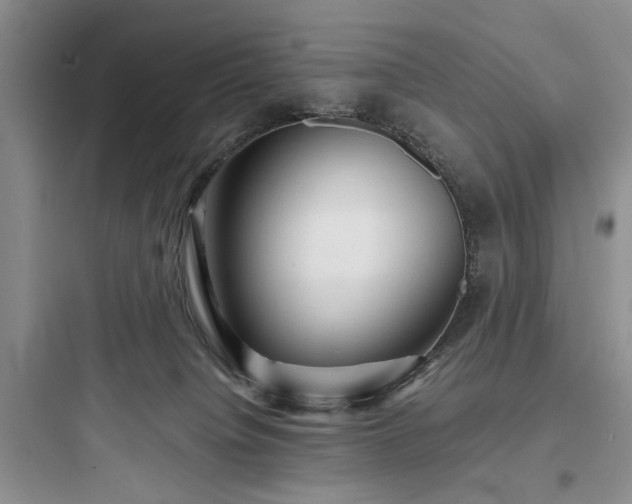 X0000097900084200803211451