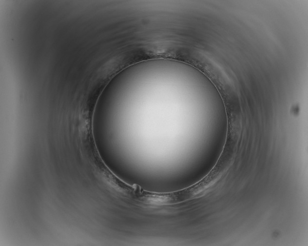 X0000097900085200803211451