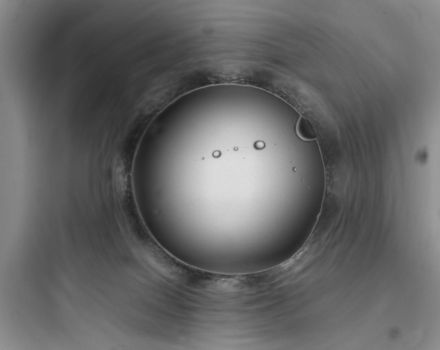X0000097900086200803211451