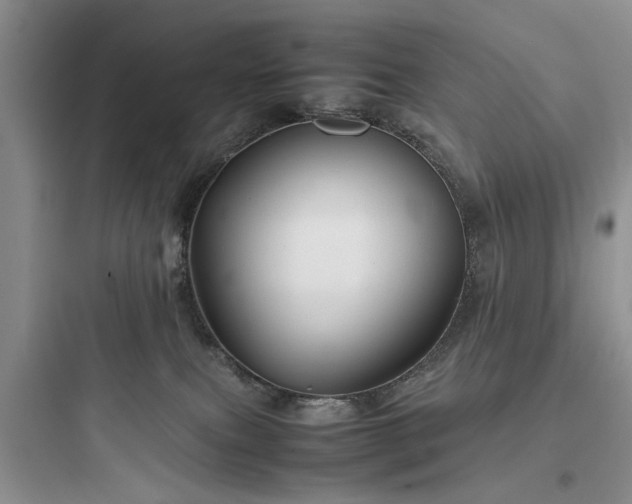 X0000097900087200803211451