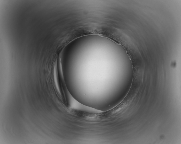 X0000097900088200803211451