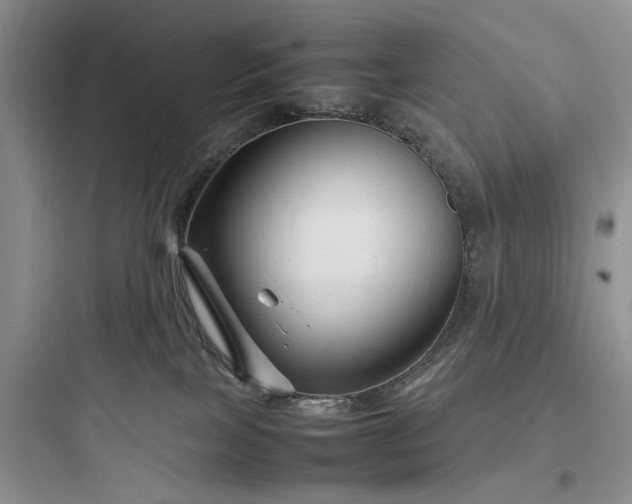 X0000097900089200803211451