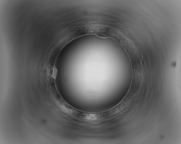 X0000097900091200803211451