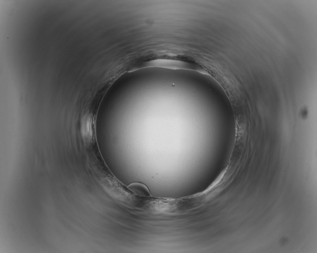 X0000097900094200803211451