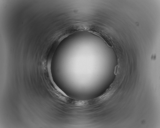 X0000097900096200803211451