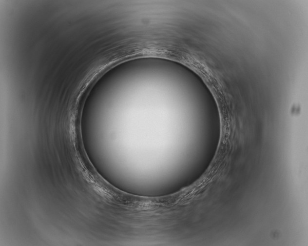 X0000097900098200803211451