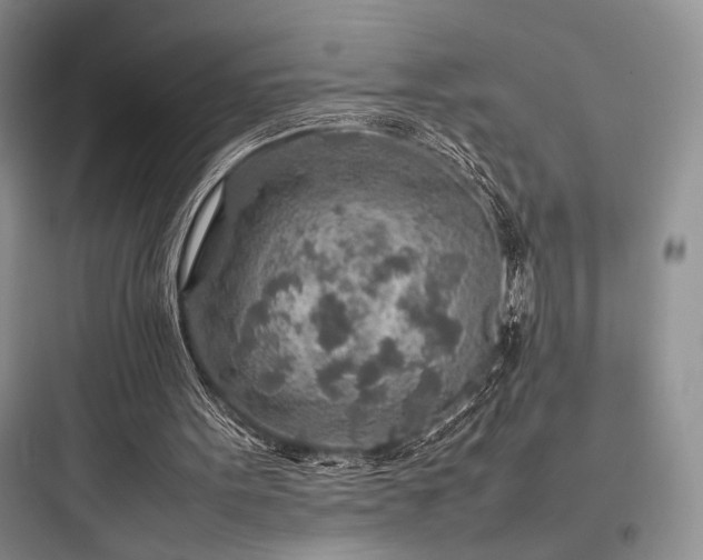 X0000097900099200803211451
