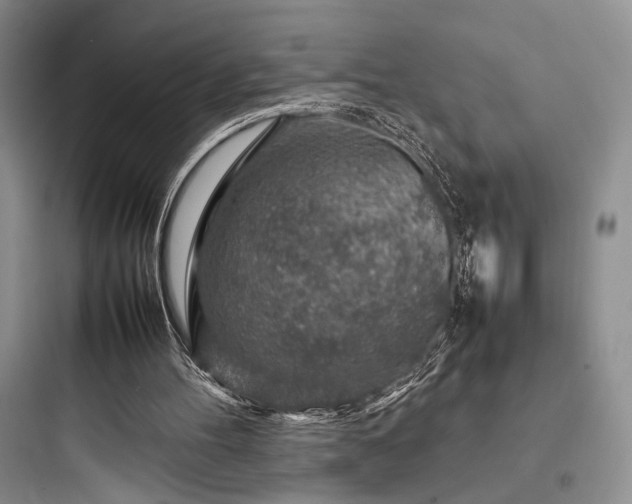 X0000097900100200803211451