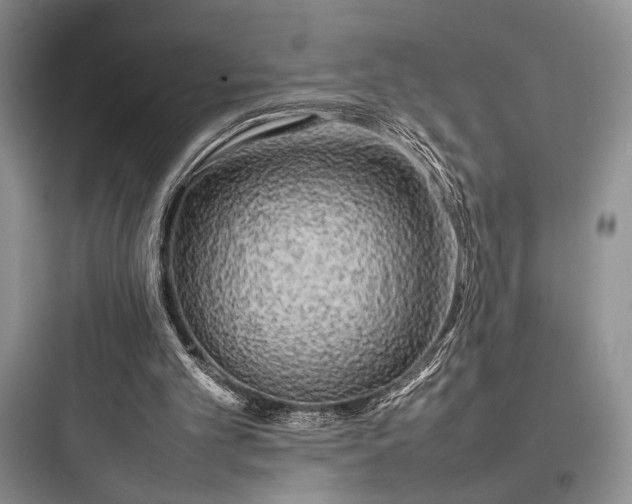 X0000097900101200803211451