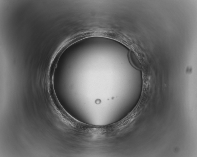 X0000097900102200803211451