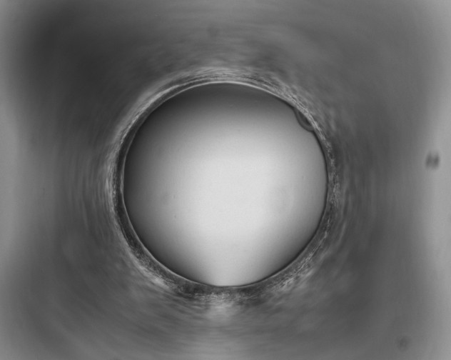 X0000097900103200803211451