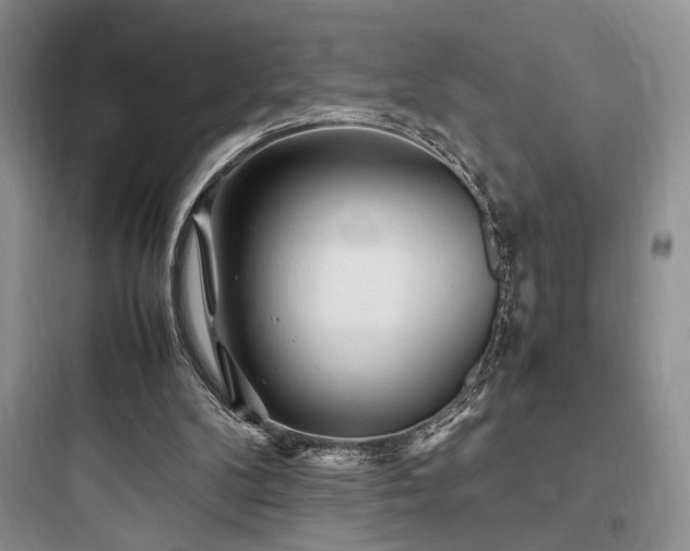 X0000097900104200803211450