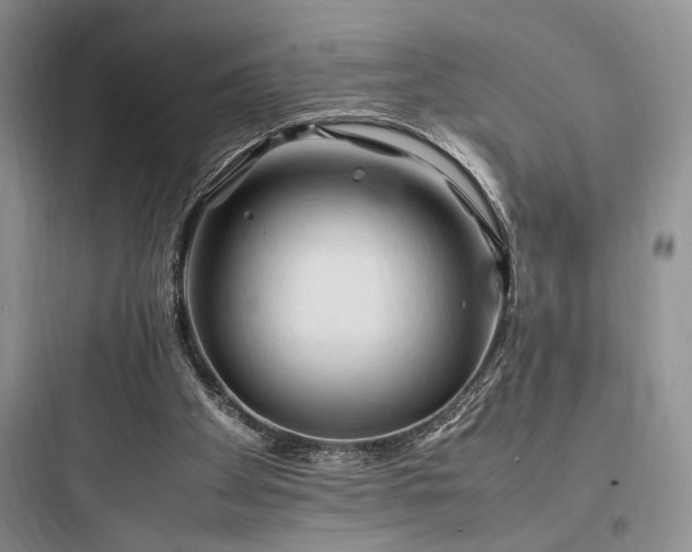 X0000097900105200803211450