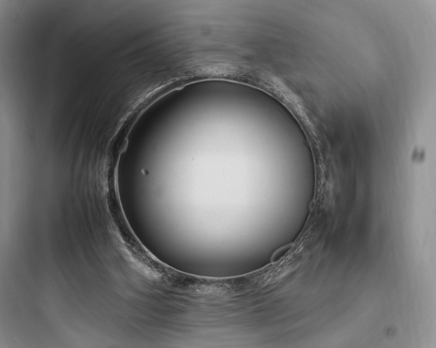 X0000097900106200803211450