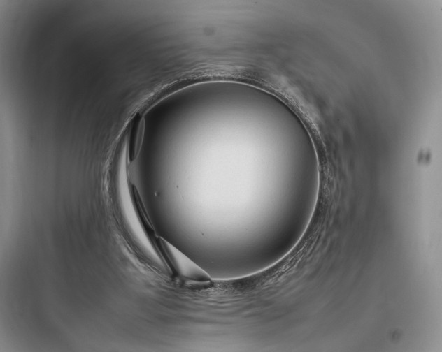 X0000097900107200803211450