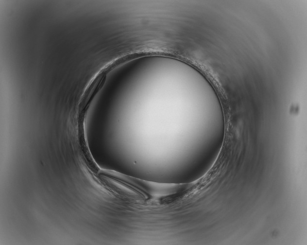 X0000097900108200803211450