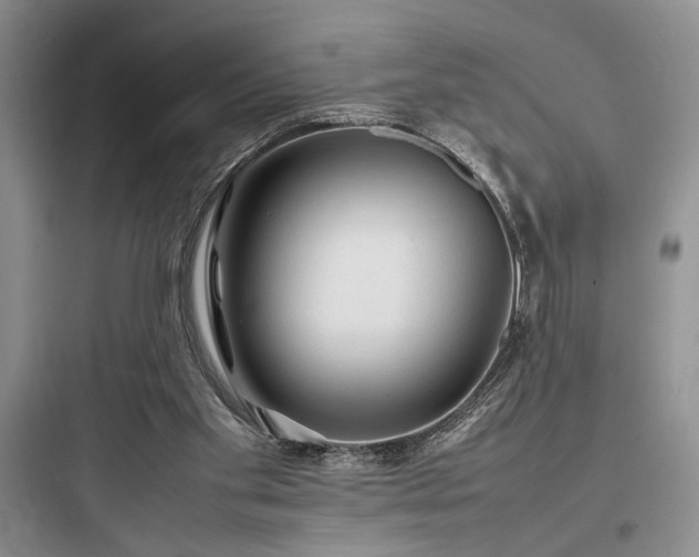 X0000097900109200803211450