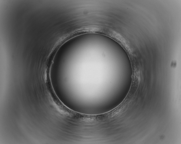 X0000097900110200803211450