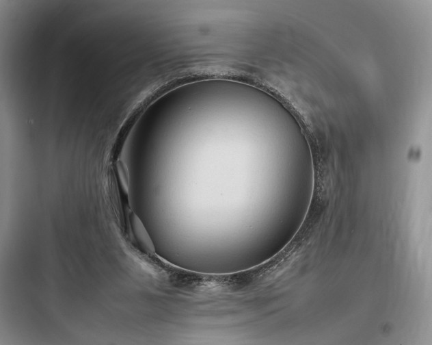 X0000097900111200803211450