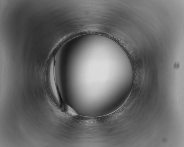 X0000097900112200803211450