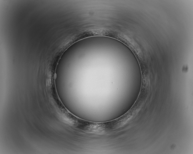 X0000097900117200803211450
