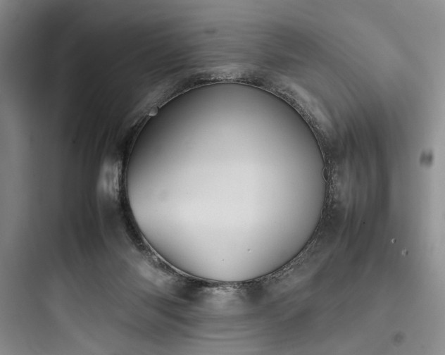 X0000097900118200803211450
