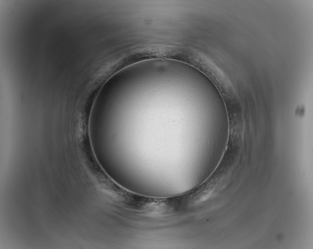 X0000097900119200803211450