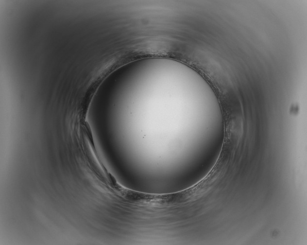 X0000097900120200803211450