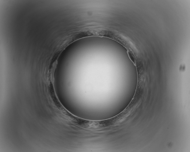 X0000097900121200803211450