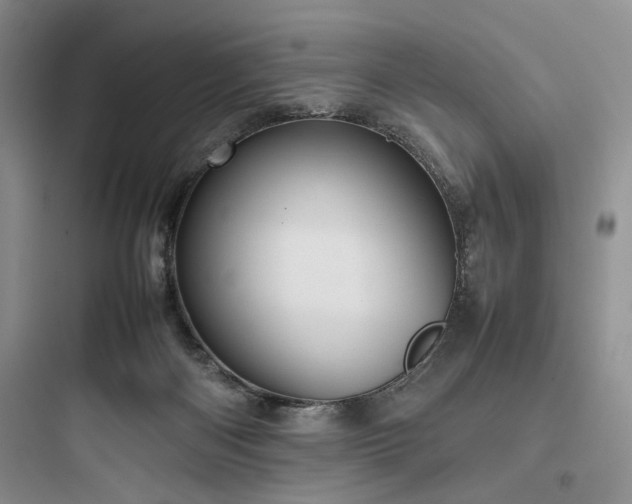 X0000097900122200803211450
