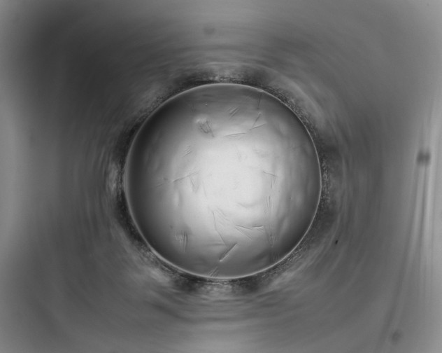 X0000097900123200803211450
