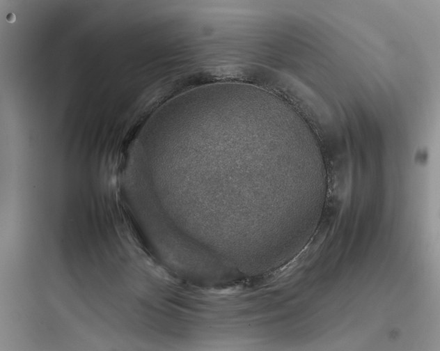 X0000097900124200803211450