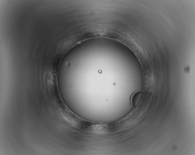 X0000097900126200803211450