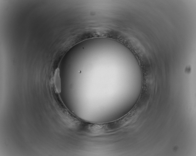 X0000097900129200803211450