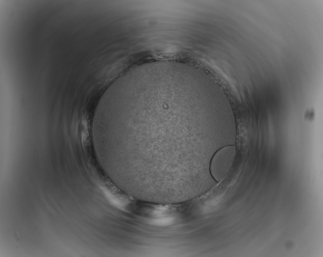 X0000097900130200803211450