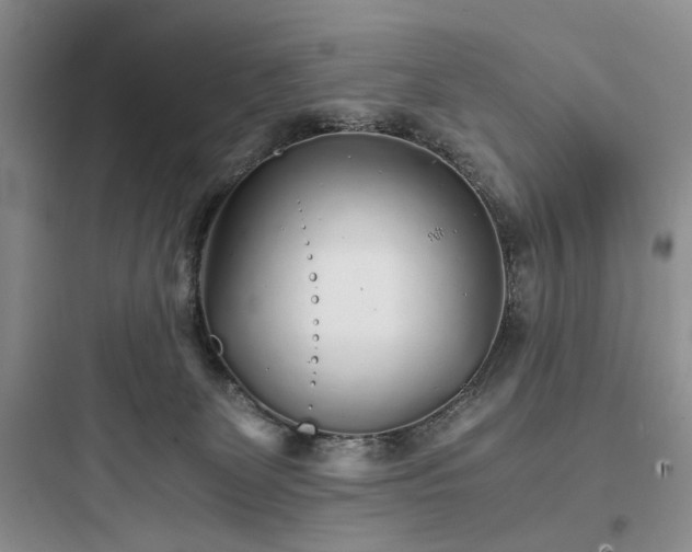 X0000097900131200803211450