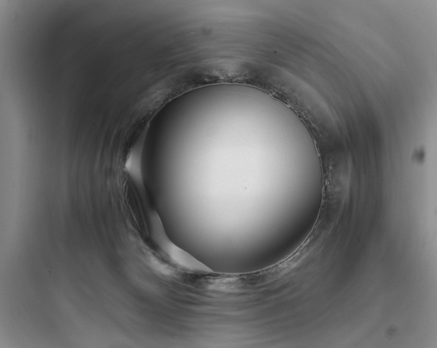 X0000097900132200803211450