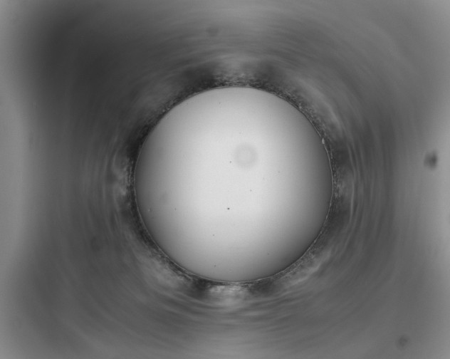 X0000097900133200803211450