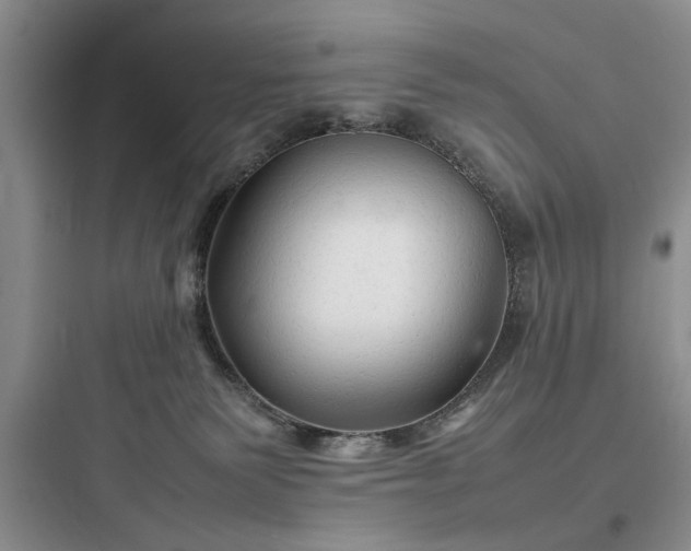 X0000097900135200803211450