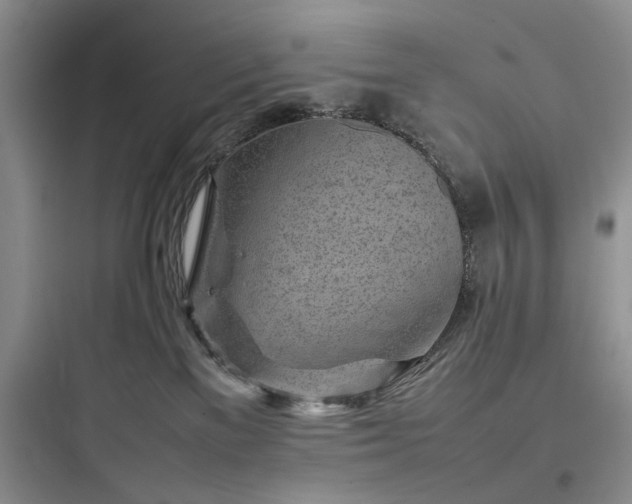 X0000097900137200803211450