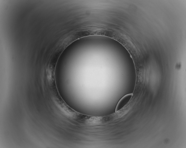 X0000097900138200803211450