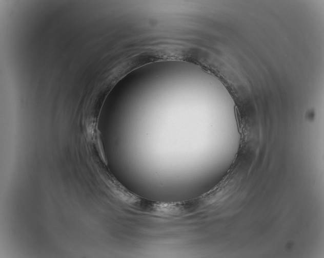 X0000097900141200803211450